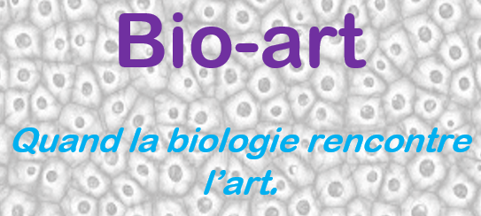 Bio – Art, quand l’art et la récupération se mettent au service de l’apprentissage.