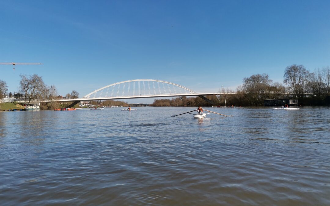 Les 4èmes poursuivent leur découverte de l’Aviron